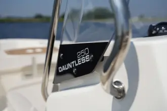 Thumbnail von Boston Whaler 250 Dauntless