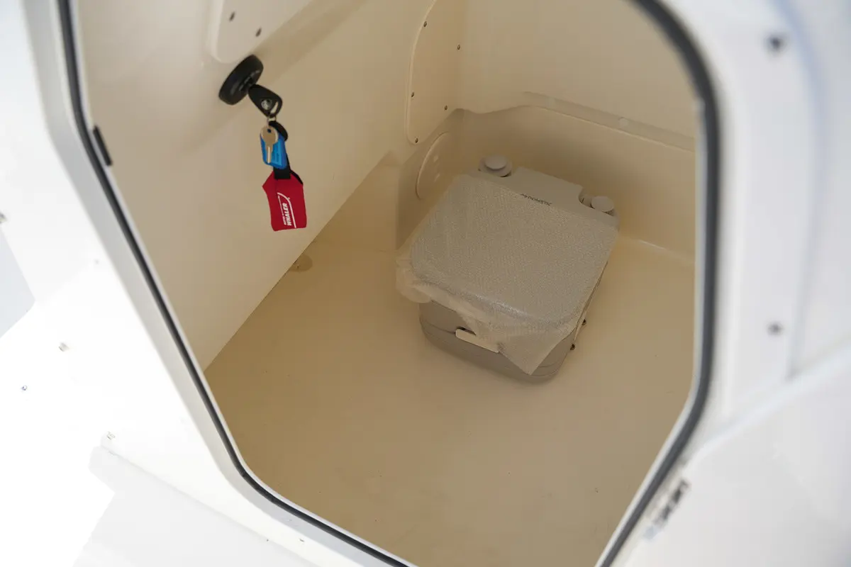 Thumbnail von Boston Whaler 250 Dauntless