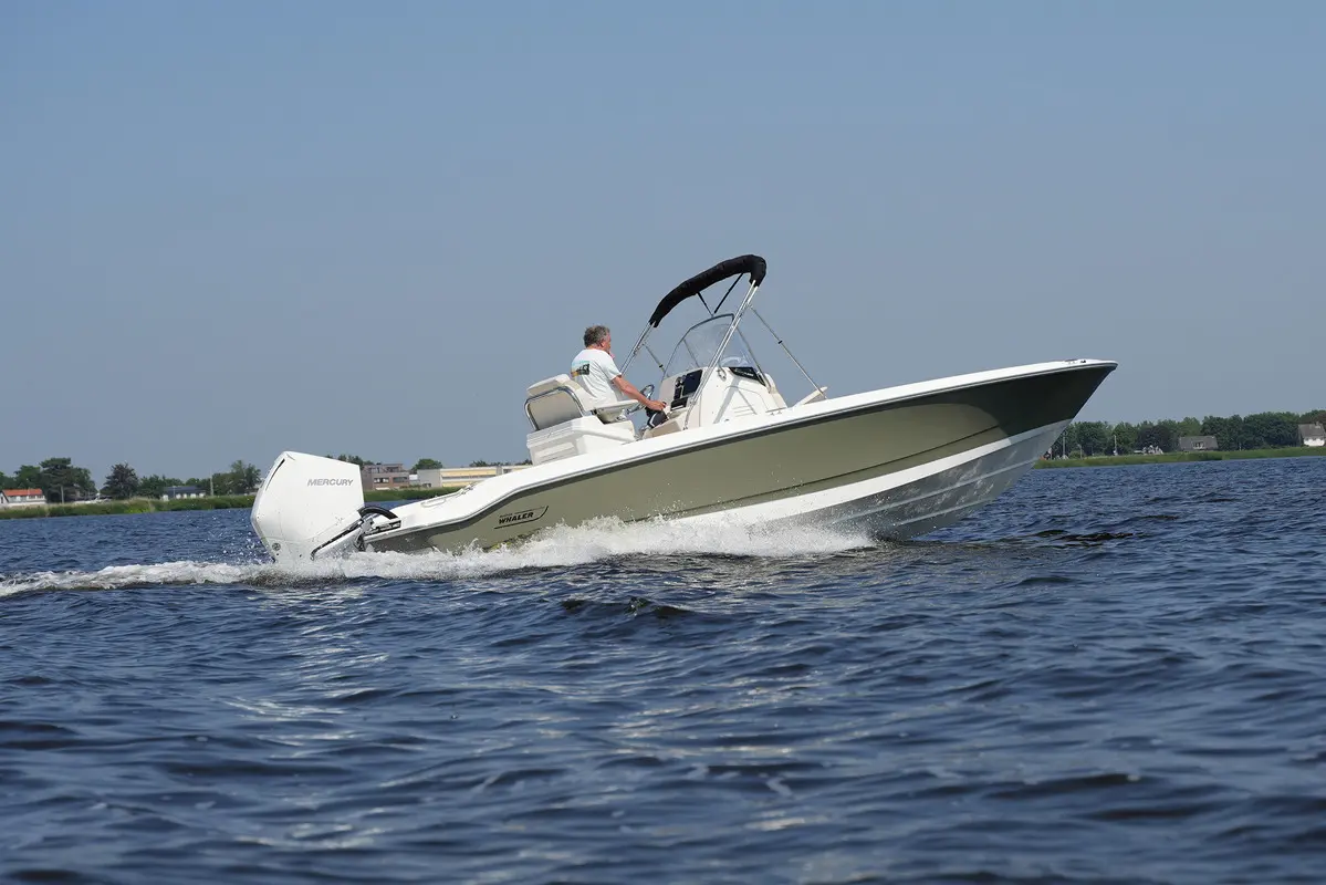 Thumbnail von Boston Whaler 250 Dauntless