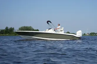 Thumbnail von Boston Whaler 250 Dauntless