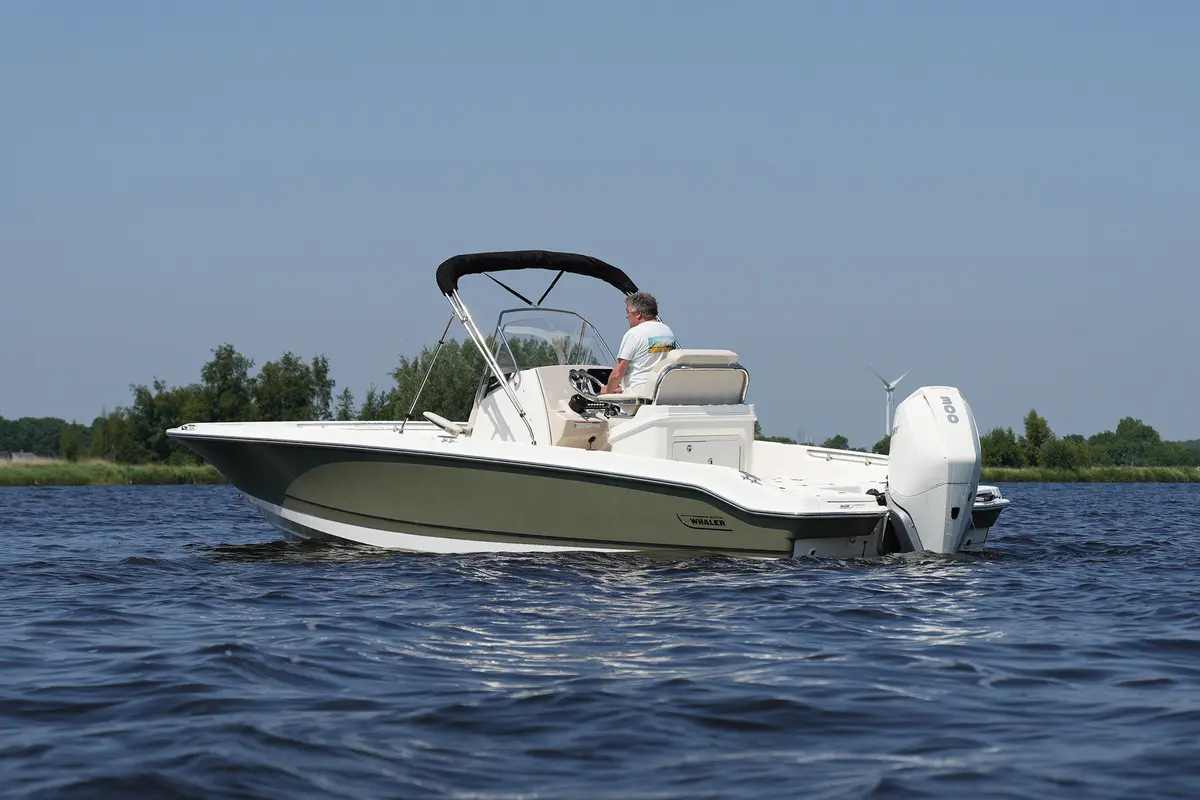 Thumbnail von Boston Whaler 250 Dauntless