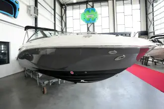 Thumbnail von Sea Ray SDX 250