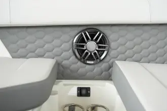 Thumbnail von Sea Ray SDX 250