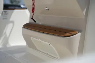 Thumbnail von Boston Whaler 210 Montauk