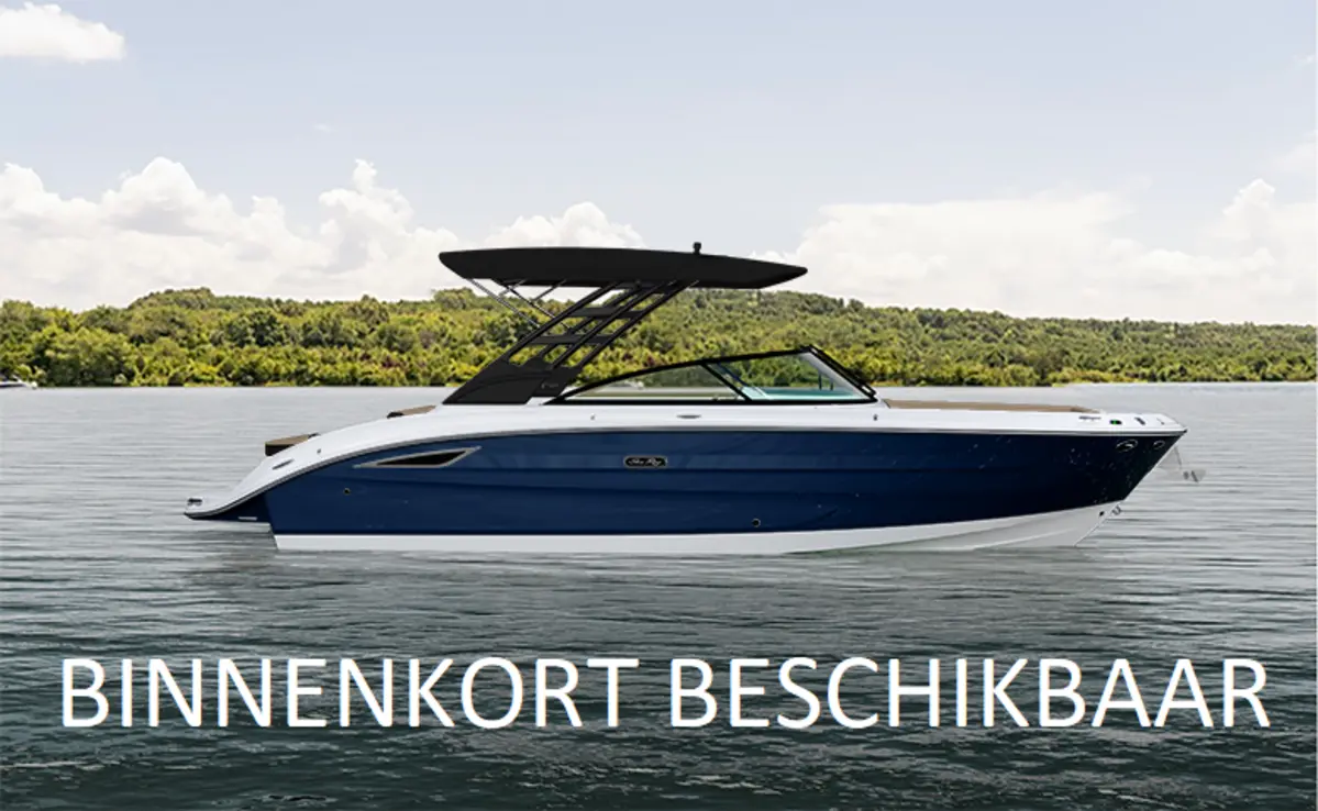 Sea Ray SDX 270 Surf