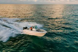 Thumbnail von Boston Whaler 250 Outrage