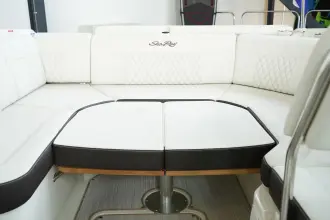 Thumbnail von Sea Ray SLX 250