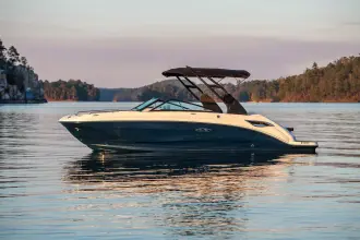 Thumbnail von Sea Ray SDX 250
