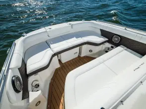 Thumbnail von Sea Ray SDX 250