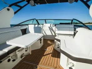 Thumbnail von Sea Ray SDX 250