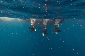 Thumbnail von Sea Ray SLX 400 Outboard