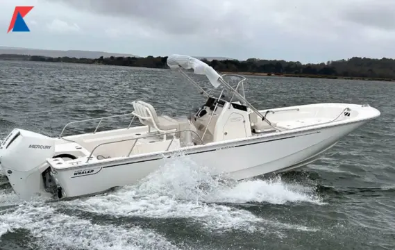 Boston Whaler 210 Montauk