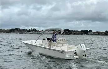 Thumbnail von Boston Whaler 210 Montauk