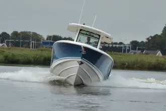 Thumbnail von Boston Whaler 330 Outrage