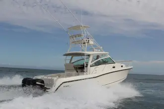 Thumbnail von Boston Whaler 345 Conquest