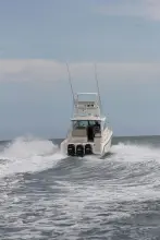 Thumbnail von Boston Whaler 345 Conquest