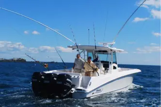 Thumbnail von Boston Whaler 380 Outrage