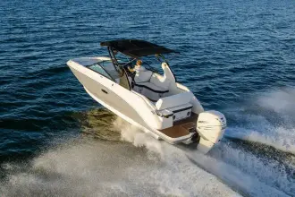 Thumbnail von Sea Ray SDX 250 Outboard