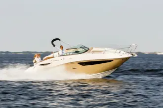 Thumbnail von Sea Ray Sundancer 265