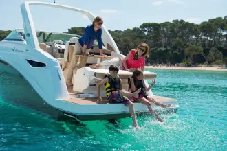 Thumbnail von Sea Ray Sundancer 265