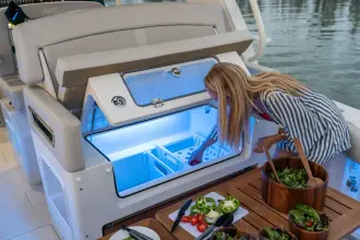 Thumbnail von Boston Whaler 380 Realm