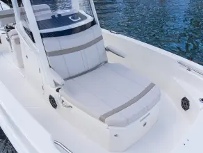 Thumbnail von Boston Whaler 220 Dauntless