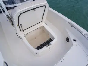 Thumbnail von Boston Whaler 220 Dauntless