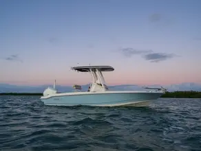 Thumbnail von Boston Whaler 220 Dauntless