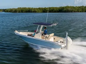 Thumbnail von Boston Whaler 220 Dauntless