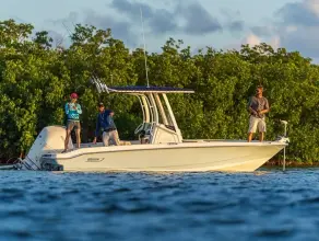 Thumbnail von Boston Whaler 220 Dauntless