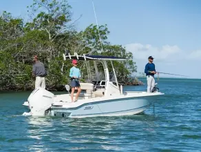 Thumbnail von Boston Whaler 220 Dauntless