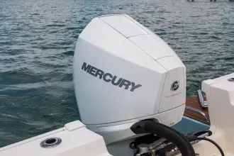 Thumbnail von Boston Whaler 210 Montauk