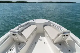 Thumbnail von Boston Whaler 280 Dauntless