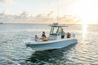 Thumbnail von Boston Whaler 280 Dauntless