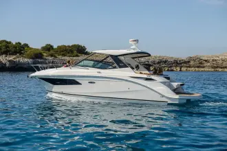 Thumbnail von Sea Ray Sundancer 320