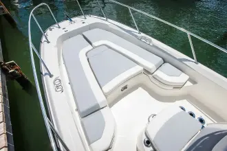 Thumbnail von Boston Whaler 250 Dauntless