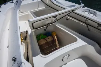 Thumbnail von Boston Whaler 250 Dauntless