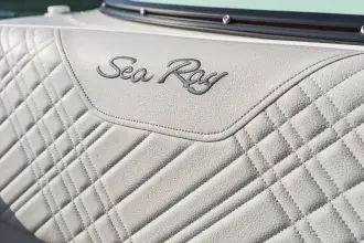 Thumbnail von Sea Ray SDX 250