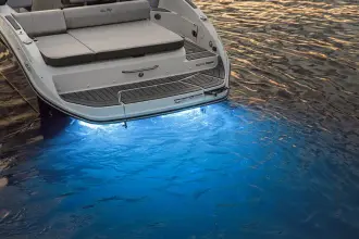 Thumbnail von Sea Ray SDX 250