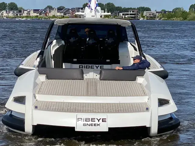 Thumbnail von Ribbon 45 Sc