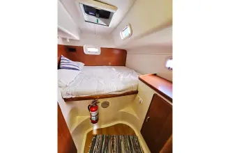 Thumbnail von Leopard 43 Powercat  TIME OUT