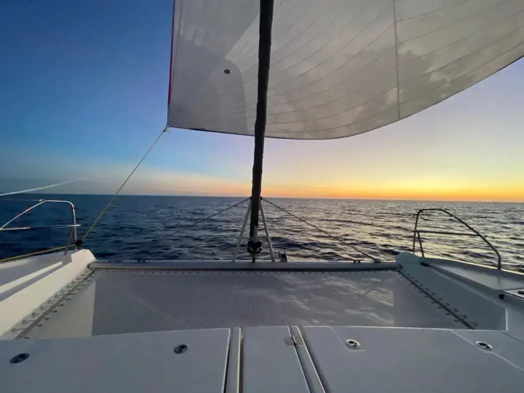 Thumbnail von Leopard 45