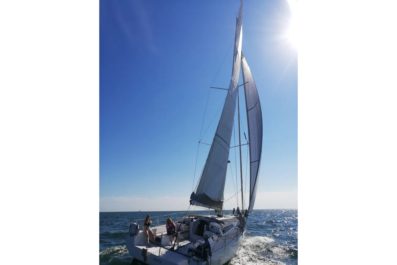 Thumbnail von Pogo 12.50