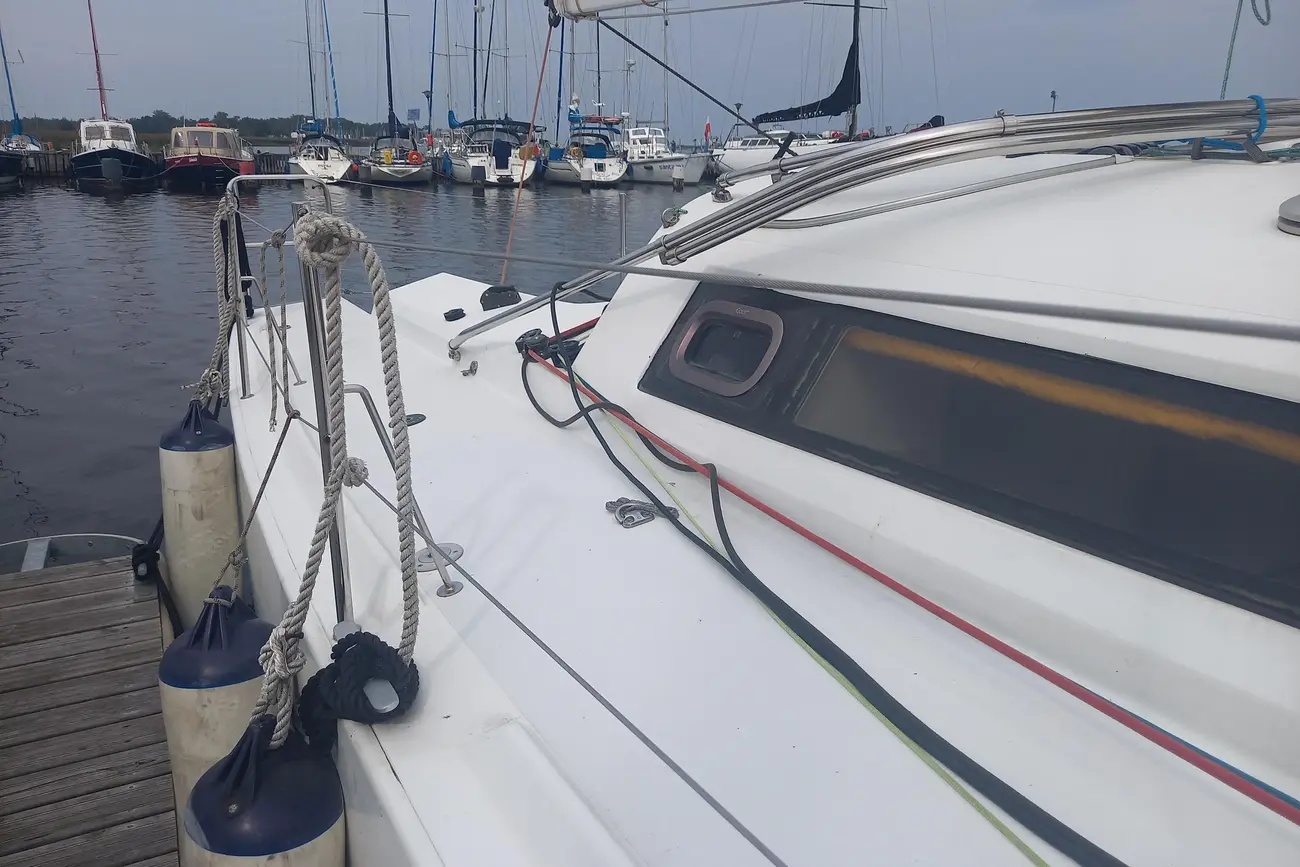 Thumbnail von Pogo 12.50