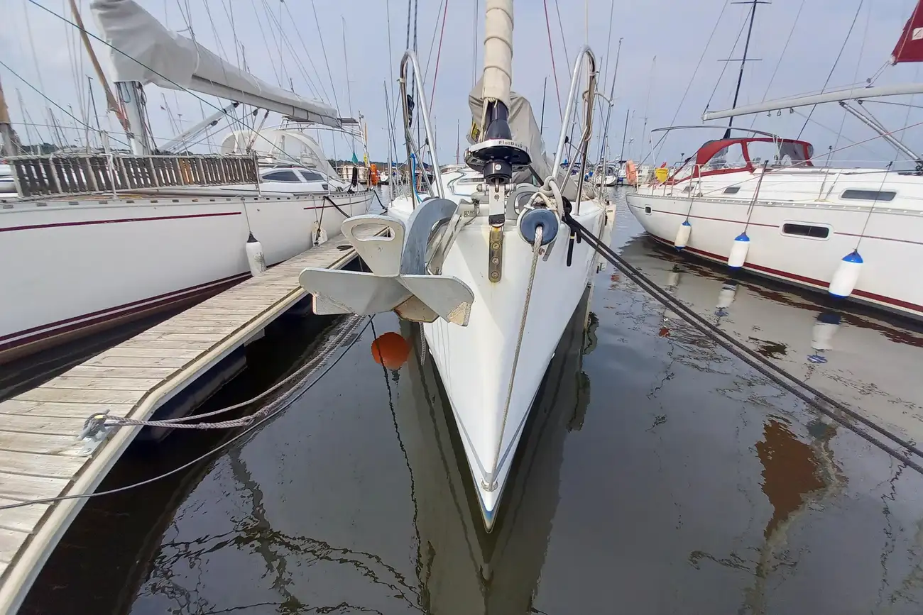 Thumbnail von Pogo 12.50