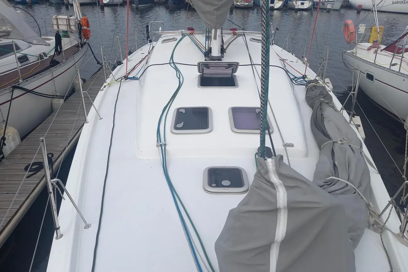 Thumbnail von Pogo 12.50