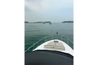 Thumbnail von Fairline Squadron 50