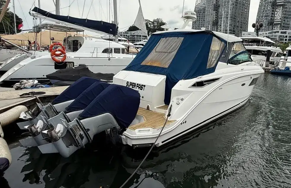 Sea Ray Sundancer 320