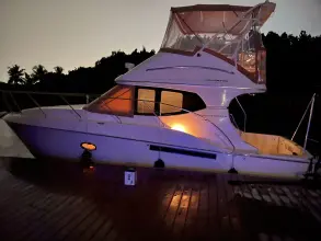 Thumbnail von Silverton 33 Convertible