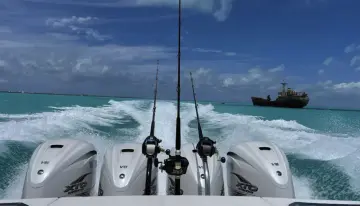 Thumbnail von Everglades 435 CC Bash Tender